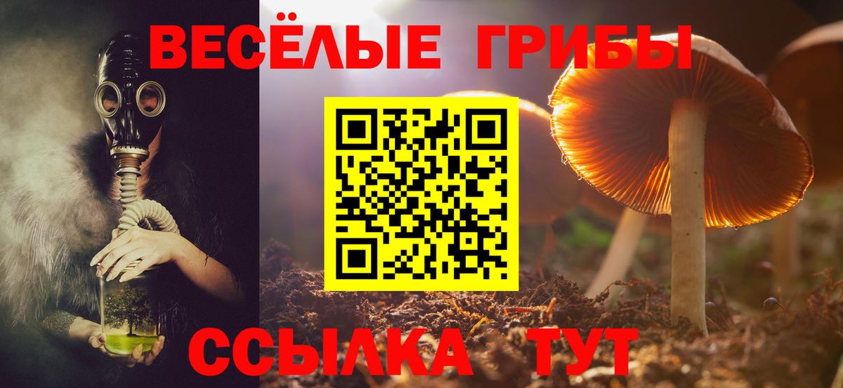 Реутов  Галлюциногенные грибы мухоморы  Вход с VPN 