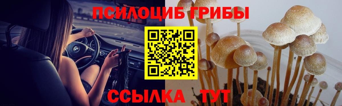 Псилоцибиновые грибы Magic Shrooms Реутов